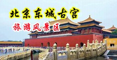 大黑吊干日本骚妇中国北京-东城古宫旅游风景区
